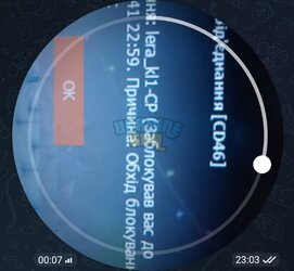 Screenshot_20250121_231924.jpg