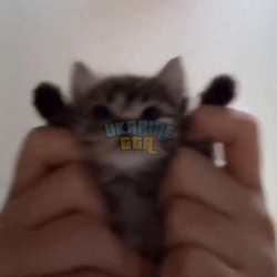 1737983154437.png
