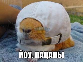 1739386967338.png