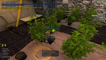 mta-screen_2025-02-19_15-30-40.png