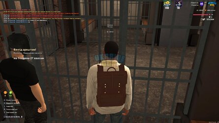 баг.jpg