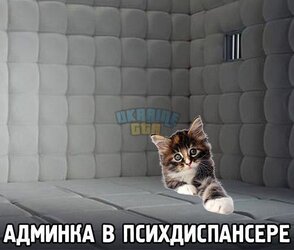 IMG_7989.jpeg