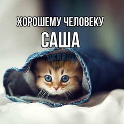 картинка-Саша-Хорошему-человеку-915.jpg
