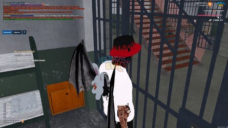 1111.jpg