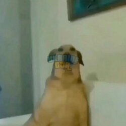 IMG_2293.jpeg