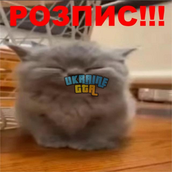 1748246804113.png