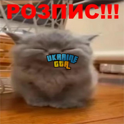 1749227946648.png