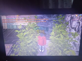 1000003030.jpg