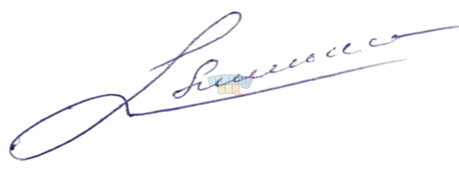 photo_2025-03-26_01-08-27-Photoroom.png