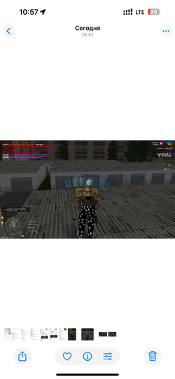 IMG_4635.png