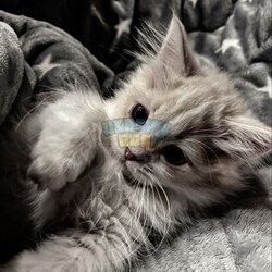 649a950b-9508-4559-81d5-11d0716d8a33.jpeg