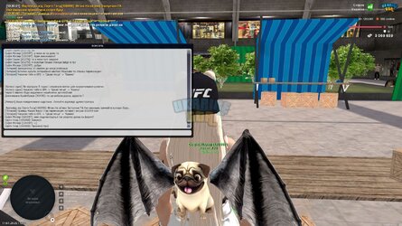 IMG_7667.jpeg