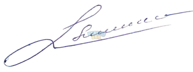 photo_2025-03-26_01-08-27-Photoroom.png