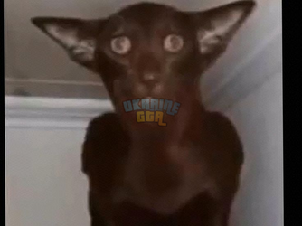 1754328380041.png
