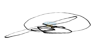 Без названия (1).png