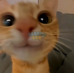 1756933693209.png