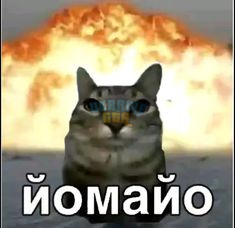 1758287800042.png