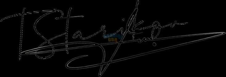 OnlineSignatures.net-546-Timur Starikov .jpg