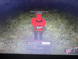 image.jpg