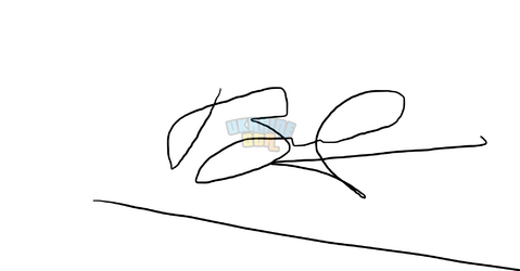 2025.png