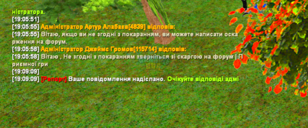 чат.png