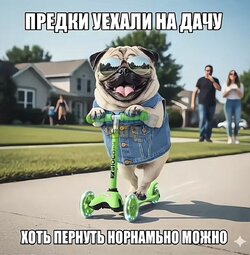 IMG_2556.jpeg