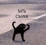 1676536529727.png