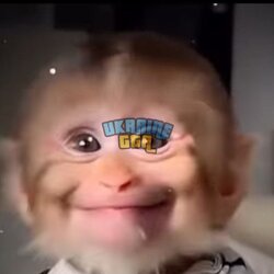 іі.jpg