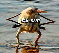 1772232800857.png