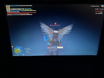 IMG_3195.jpeg