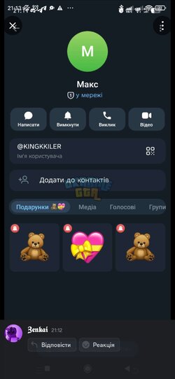 Screenshot_2026-03-17-21-13-01-469_com.discord.jpg