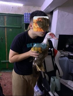1775765054988.jpeg