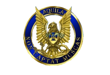 Den-kontrrozvidky-SBU-loho-474x324-1.png