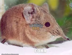 1776197652790.png
