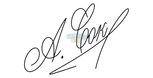 загружено-removebg-preview.png
