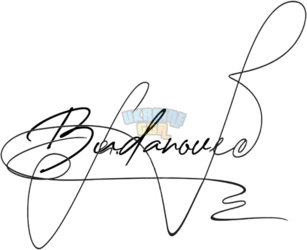 OnlineSignatures.net-939-Dmitro Budanov .png