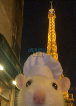 1777327813290.png