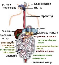 1000004711.jpg