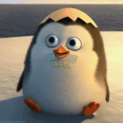 Hello Penguin GIF - Hello Penguin Hi - Discover & Share GIFs.gif