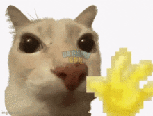 cat-meme-wave-emoji.gif