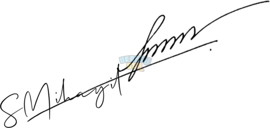 OnlineSignatures.net-268-Mihayil Sharutin .png