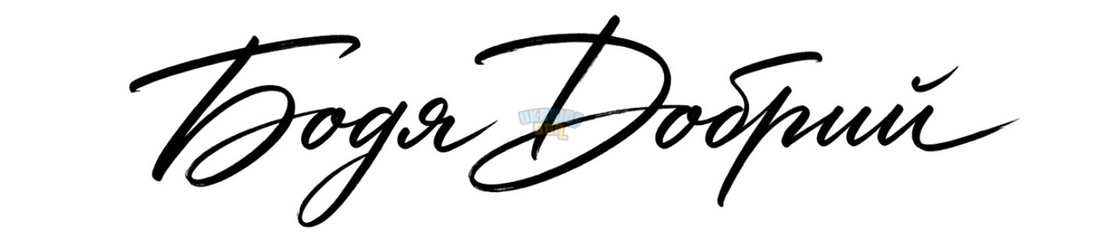 e7c5a7d89314a365.png