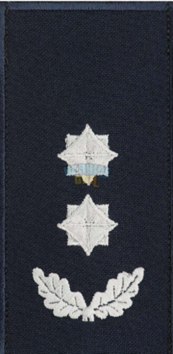 1779202775550.png