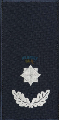 1779206238905.png