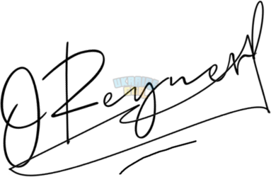 OnlineSignatures.net-256-Oleg Reyner.png