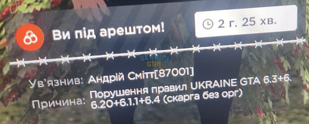 IMG_7971.jpeg