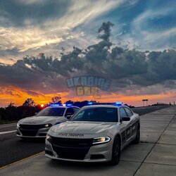 754cb285924f70ce470a321527922464.jpg