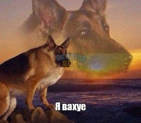 1782550437570.png