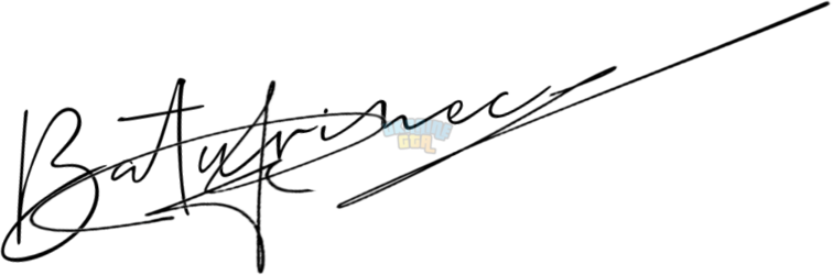 OnlineSignatures.net-124-Nazar Baturinec .png