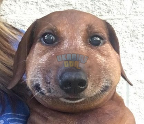 1783249608500.png